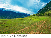 Горная долина реки Чулышман. Горный Алтай. Стоковое фото, фотограф Макаров Алексей / Фотобанк Лори