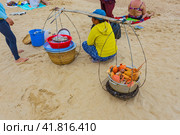 Sale of cooked seafood on the beach in Nha Trang (2014 год). Стоковое фото, фотограф Олег Жуков / Фотобанк Лори