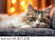 Кошка дремлет в тепле. Стоковое AI-изображение, AI-художник Щеголева Ольга / Фотобанк Лори