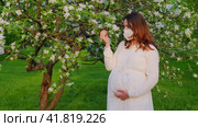 Pregnant woman in medical face mask n95 with apple tree flowers in spring nature. Happiness of pregnancy during covid epidemic, coronavirus pandemic quarantine. Стоковое видео, видеограф Андрей Журавлев / Фотобанк Лори