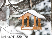 Winter. Snow is falling. A wooden bird feeder is hanging on a tree branch in the park. Feeding birds on harsh and cold days. Beautiful diffused light. Стоковое фото, фотограф Photojuli / Фотобанк Лори