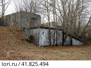 Фрагмент старинного форта Шанц. Котлин (Кронштадт) (2023 год). Стоковое фото, фотограф Анна Карасева / Фотобанк Лори