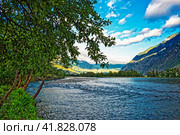 Река Чулышман. Горный Алтай. Стоковое фото, фотограф Макаров Алексей / Фотобанк Лори