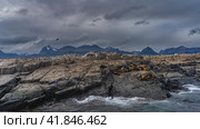 A lot of black and white cormorants are sitting on the cliff. Sea lions are resting on the rocky slope of the island. Mountains against a cloudy sky. Argentina. The Beagle Channel. Isla de los lobos (2023 год). Стоковое фото, фотограф Вера Ивановна Кубарева / Фотобанк Лори