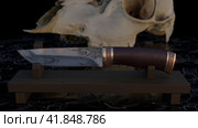 Knife. Стоковая иллюстрация, иллюстратор Александр Гусев / Фотобанк Лори