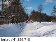 Cross bridge (Krestovy bridge) in the Alexander Park of Tsarskoye Selo on a sunny winter day, Pushkin, St. Petersburg, Russia. Стоковое фото, фотограф Ula Ulachka / Фотобанк Лори