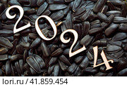 Новый год 2024. Цифры на фоне черных семечек. Деревянные цифры. Стоковое фото, фотограф Елена Бобкова / Фотобанк Лори
