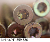 Torx self-tapping screws. Macro photo of torx head screws, soft focus can be used for background. Self-tapping screws for wood, plywood or chipboard. Torx screw heads close-up. Стоковое фото, фотограф Александр Кротков / Фотобанк Лори