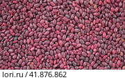 Kidney beans spinning background. Dry red bean wallpaper. Texture. Frame with copy space. Lots of Beans rotating on turntable. Close up. Diet, vegetarianism. Healthy Food. Legume grains. 4k real time. Стоковое видео, видеограф Марина Демидюк / Фотобанк Лори