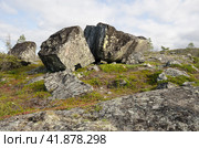 Большой расколовшийся камень на сопке. Стоковое фото, фотограф Анатолий Гуреев / Фотобанк Лори