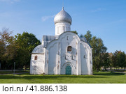 Вид на средневековую церковь святого Власия (1407г.) солнечным июньским днем. Великий Новгород, Россия (2023 год). Стоковое фото, фотограф Виктор Карасев / Фотобанк Лори