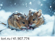 Snowstorm, two mice snuggling together and almost covered in snow, ,Generative AI. Стоковое AI-изображение, AI-художник Анна Кривицкая / Фотобанк Лори