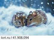 Snowstorm, two mice snuggling together and almost covered in snow, ,Generative AI. Стоковое AI-изображение, AI-художник Анна Кривицкая / Фотобанк Лори