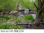 Beautiful summer landscape. A waterfall in a small river canyon. Travel and ecological tourism in Russia. Sablinsky waterfall, Sablinka river, Ulyanovka (Sablino), Leningrad region, Russia. Стоковое фото, фотограф Андрей Степанов / Фотобанк Лори