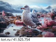 Adult winter Ross's Gull (Rhodostethia rosea) during autumn migration past Barrow, Alaska, North America. Стоковое AI-изображение, AI-художник Ирина Михайличенко / Фотобанк Лори