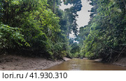 The river channel winds through a tropical rain forest. A boat with tourists is floating in the riverbed. Lush impenetrable thickets of green trees on the banks. Malaysia. Borneo. Kinabatangan. Стоковое фото, фотограф Вера Ивановна Кубарева / Фотобанк Лори