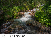 The sources of the Alibek River flowing down from the mountain slopes of the North Caucasus on the territory of the Teberdinsky Reserve on a sunny summer day, Dombai, Karachay-Cherkessia, Russia. Стоковое фото, фотограф Ula Ulachka / Фотобанк Лори
