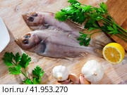 Two whole fresh megrims with seasonings. Стоковое фото, фотограф Яков Филимонов / Фотобанк Лори