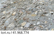 inclusions of granite chips in concrete, the texture of concrete, horizontal design on cement and concrete texture for pattern and background. Стоковое фото, фотограф Скрипачев Антон / Фотобанк Лори