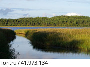 Протока на Ладожском озере в районе острова Койонсаари, Карелия. Стоковое фото, фотограф Natalia Sidorova / Фотобанк Лори