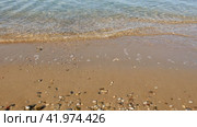 Волны у кромки воды на песчаном пляже. Стоковое видео, видеограф Садовский Анатолий / Фотобанк Лори