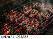 Gaucho cooking the meat on the fire, making the barbecue on the coals, Photos and menus of cafes and restaurants, Magazines. Стоковое AI-изображение, AI-художник Ирина Ручушкина / Фотобанк Лори