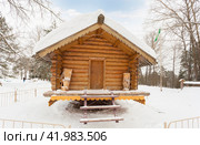 Избушка Бабы Яги в Кукобое (2011 год). Стоковое фото, фотограф Владимир Чинин / Фотобанк Лори