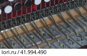 The man checks the compression of the butt button. Marks faulty valves by marker. Bayan repair and maintenance. Close-up. Стоковое видео, видеограф Vadzim Yakubovich / Фотобанк Лори
