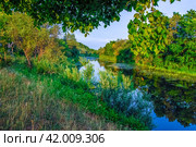 Летний пейзаж с рекой и склоненным деревом на переднем плане. Стоковое фото, фотограф Сергей Иванов / Фотобанк Лори