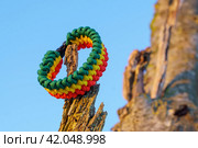 Paracord bracelet. Стоковое фото, фотограф Артем Лукин / Фотобанк Лори