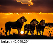 Three lions at sunset on hilltop in savannah in South Africa. Amazing wildlife animal backgrounds during sunrise. Holidays in South Africa of RSA. Стоковое AI-изображение, AI-художник Aleksandr Golubev / Фотобанк Лори