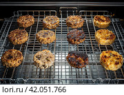 grilled lamb and lamb patties on a grill rack. Стоковое AI-изображение, AI-художник Юлия Гапеенко / Фотобанк Лори