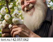 Человек осматривает плодовое дерево в момент цветения. Стоковое AI-изображение, AI-художник Роберт Спиридонов / Фотобанк Лори