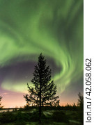 Northern lights reflected in the water. Стоковое фото, фотограф Данил Хусаинов / Фотобанк Лори