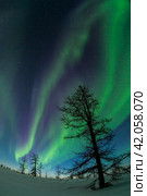 Northern lights reflected in the water. Стоковое фото, фотограф Данил Хусаинов / Фотобанк Лори