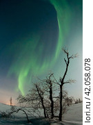 Northern lights reflected in the water. Стоковое фото, фотограф Данил Хусаинов / Фотобанк Лори