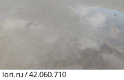 Капли воды падают на асфальт. Пасмурный день идет дождь. Крупные капли редко падают на асфальт и сливаются с водой в лужах. От поверхности воды отражается небо. Стоковое видео, видеограф Andrew_Swarga / Фотобанк Лори