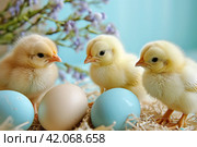 three small yellow chicks are sitting by some colorful easter eggs. Стоковое AI-изображение, AI-художник Юлия Гапеенко / Фотобанк Лори