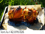 Pork knuckle. Roasted pork knuckle baked in the oven on parchment paper. Large portions of food in nature. Close-up. Стоковое фото, фотограф Артем Лукин / Фотобанк Лори