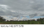 Бело-серые облака над молодым лесом. Над молодым хвойным лесом с небольшими деревьями, соснами и елями низко нависают бело-серые кучевые облака, между которыми видно голубое небо. Стоковое видео, видеограф Andrew_Swarga / Фотобанк Лори