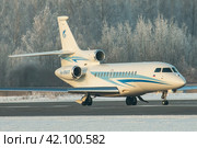 Самолет (бизнес джет) Dassault Falcon 7X авиакомпании Газпром Авиа на рулении в аэропорту Пулково зимой, на фоне покрытого белым инеем леса (2019 год). Редакционное фото, фотограф Сергей Крамарев / Фотобанк Лори