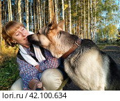 Adult girl with shepherd dog taking selfies in a forest. Middle aged woman and big shepherd dog on nature. Friendship, love, communication, fun, hugs. Стоковое фото, фотограф Кривошеина Елена Леонидовна / Фотобанк Лори