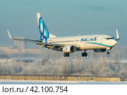 Самолет Boeing 737-800 авиакомпании SCAT Airlines заходит на посадку в аэропорту Пулково зимой, на фоне покрытого белым инеем леса (2019 год). Редакционное фото, фотограф Сергей Крамарев / Фотобанк Лори