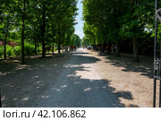 Вид на дворцовый парк Шенбрунн (2023 год). Стоковое фото, фотограф V.Ivantsov / Фотобанк Лори
