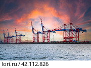 Cranes awaiting loading at the international terminal of a logistics seaport. Freight transport concept in Germany against sunset sky. (2023 год). Редакционное фото, фотограф Артем Лукин / Фотобанк Лори