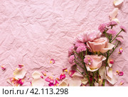 Bouquet of fresh flowers with roses, carnations and chrysanthemums with rose petals on background of crumpled stylish pink paper. Romantic holiday greeting and empty space for text. Стоковое фото, фотограф Виктория Катьянова / Фотобанк Лори
