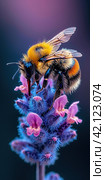 Macro illustration of a honey bee collecting nectar from a blue flower. The beauty of nature. Стоковое AI-изображение, AI-художник Ярославский Максим / Фотобанк Лори