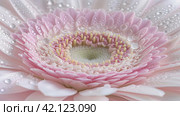 Pistils and stamens of exotic flowers in a macro image. Стоковое AI-изображение, AI-художник Ярославский Максим / Фотобанк Лори