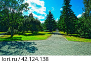 Парк Леонида Гаркавого. Город Бийск. Алтайский край (2023 год). Стоковое фото, фотограф Макаров Алексей / Фотобанк Лори