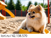 Fluffy puppy of Small German Pomeranian on dog playground, sitting, looking away. White funny playful doggy German Spitz dog playing on walk in nature, outdoors. Pet love concept. Copy ad text space. Стоковое AI-изображение, AI-художник Aleksandr Golubev / Фотобанк Лори